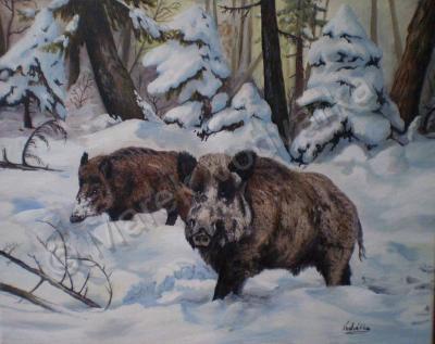 Animals By Mv - Wild Boar - Oil On Canvas