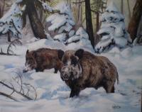 Wild Boar - Oil On Canvas Paintings - By M V, Wildlife Painting Artist