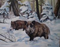 Animals By Mv - Wild Boar - Oil On Canvas