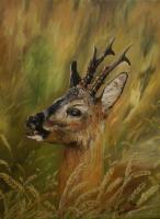 Roe Deer 6 - Oil On Canvas Paintings - By M V, Wildlife Painting Artist
