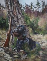 Dachshund - Oilpaint Paintings - By M V, Wildlife Painting Artist