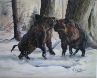 Wildboars - Oilpaint Paintings - By M V, Wildlife Painting Artist