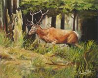European Deer - Oilpaint Paintings - By M V, Wildlife Painting Artist
