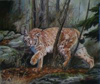 Eurasian Lynx - Oil On Canvas Paintings - By M V, Wildlife Painting Artist