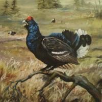 Black Grouse - Oilpaint Paintings - By M V, Wildlife Painting Artist