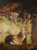 Fallow Deer - Oil On Canvas Paintings - By M V, Wildlife Painting Artist