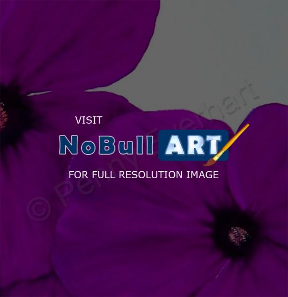Florals - Purple Blooms - Oil