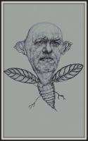 Insectopia 3 - Pencilpaper Drawings - By Florin Ivan, Surealist Drawing Artist