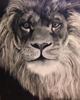 Lion - Acrylics Paintings - By Meghan Jones, Black And White Painting Artist