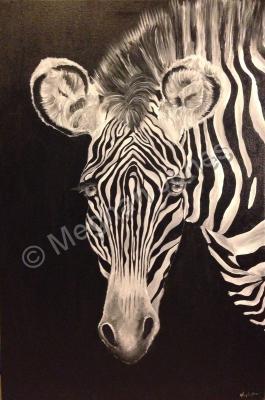 Animals - Zebra - Acrylics