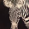 Zebra - Acrylics Paintings - By Meghan Jones, Black And White Painting Artist