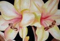 Lillies - Watercolor Paintings - By Meghan Jones, Watercolor Painting Artist