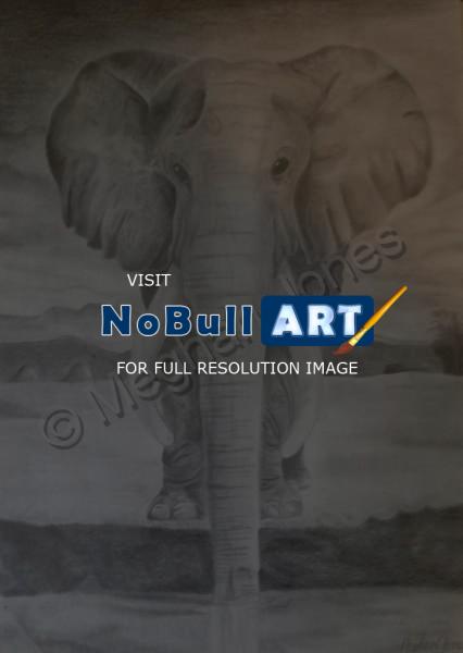 Animals - Elephant - Pencil