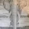 Elephant - Pencil Drawings - By Meghan Jones, Black And White Drawing Artist