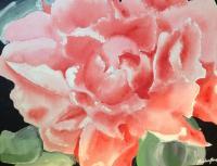 Rose - Watercolor Paintings - By Meghan Jones, Flowers Painting Artist