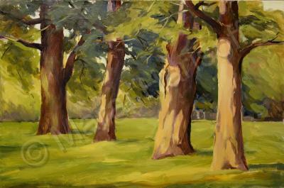 Landscapes - Oaks - Oil On Canvas