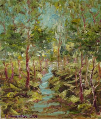 Landscape - Forest Stream - Oil  Cardboard