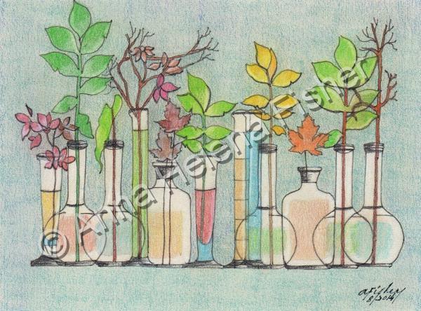 Flora - Vials Of Flowers - Pencil And Paper