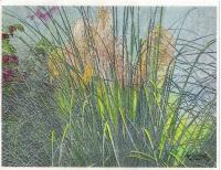 Scrubland - Mixed Media Drawings - By Anna Helena Fisher, Flora Drawing Artist