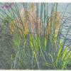 Scrubland - Mixed Media Drawings - By Anna Helena Fisher, Flora Drawing Artist