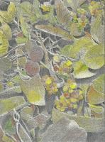 In The Wild - Watercolor Paintings - By Anna Helena Fisher, Composition Painting Artist