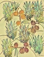 Nature - Pineapple Crowns And Acorns - Mixed Media