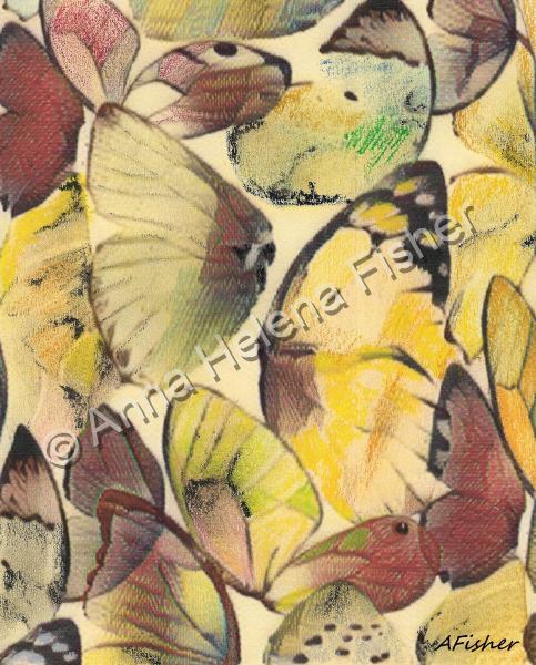 Fauna - Borboleteando - Mixed Media