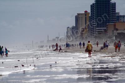 Everything - Daytona Beach Florida - Dslr