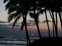 Paradise Sunset - Dslr Photography - By Yvonne Culbertson, World Photography Artist