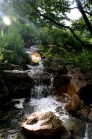 Botanic Gardens - Dslr Photography - By Yvonne Culbertson, World Photography Artist