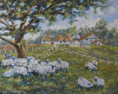 Art Sold Directly By The Artis - Gathering Of Sheep Fram Painting By Prankearts - Oil On Canvas