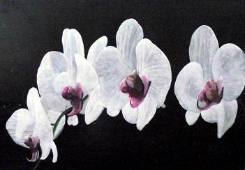 Flowers - So Nice - Acrylic