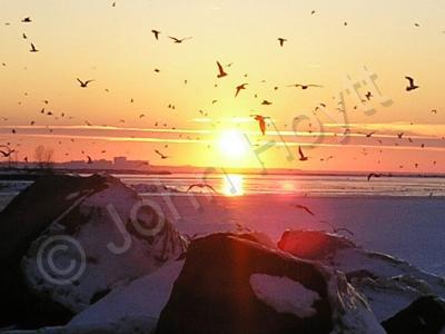 Sunset - Bird Lake - Natural