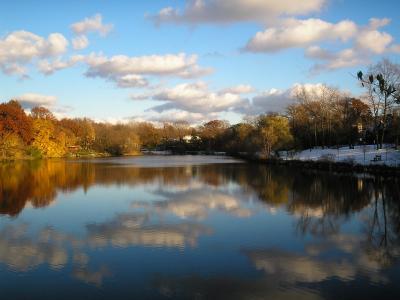 Landscape - Blue Sky - Natural