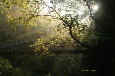 Landscape - Forest Sun Rays - Natural