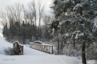 Black  White - Fresh Snow - Natural