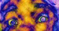Abstract - His Eyes - Photoshop