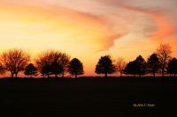 Sunset Whiskey Island - Natural Photography - By John Hoytt, Photography Photography Artist