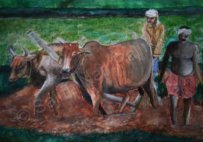 Realistic - Farmer - Water Colour