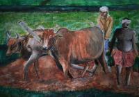 Farmer - Water Colour Paintings - By Sajith Puthukkudi Sooryakiran Bhrahaspathi, Impressionism Painting Artist