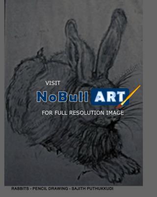 Pencil Drawing - Rabbits - Pencil