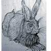Rabbits - Pencil Drawings - By Sajith Puthukkudi Sooryakiran Bhrahaspathi, Impressionism Drawing Artist