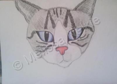 Random Designs And Drawings - Parker Cat - 140Lb Watercolor Paper