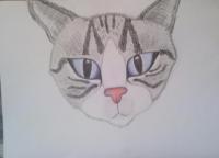 Random Designs And Drawings - Parker Cat - 140Lb Watercolor Paper