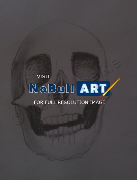 Random Designs And Drawings - Skull Sketch - 140Lb Watercolor Paper