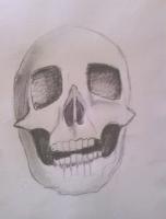 Random Designs And Drawings - Skull Sketch - 140Lb Watercolor Paper