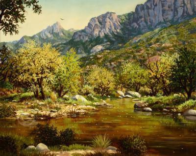 Landscapewaterdesert - Sabino Canyon - Oil