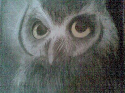 Bird - The Binocular - Charchoal N Pencil