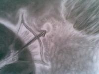 Abstract - Defending Meteorite - Charcoal