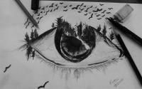 Sketch - An Eye - Sketc On Paper